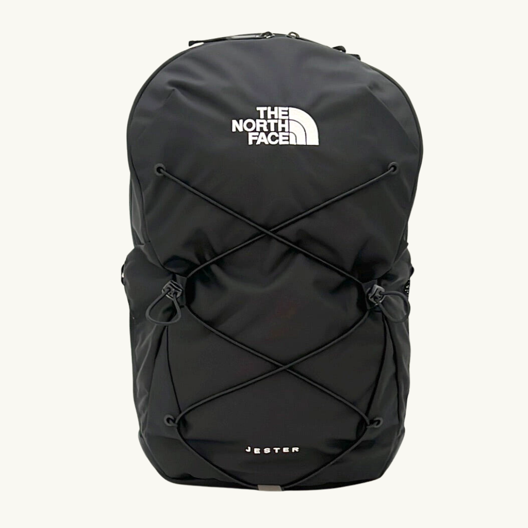 Dicks north top face backpack