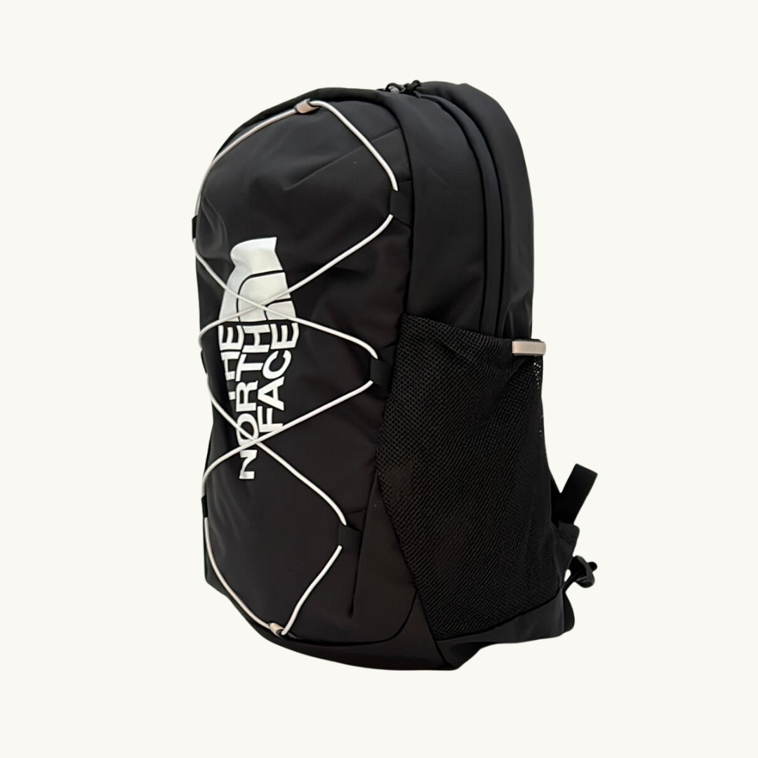 ノースフェイス リュック キッズ ユースコートジェスター / THE NORTH FACE YOUTH COURT JESTER BACKPACK