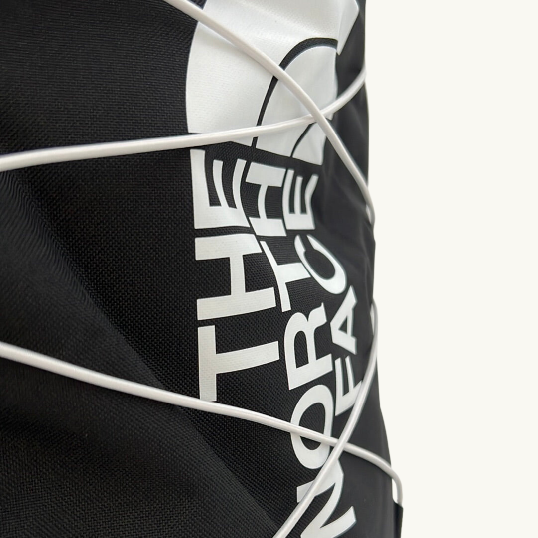ノースフェイス リュック キッズ ユースコートジェスター / THE NORTH FACE YOUTH COURT JESTER BACKPACK